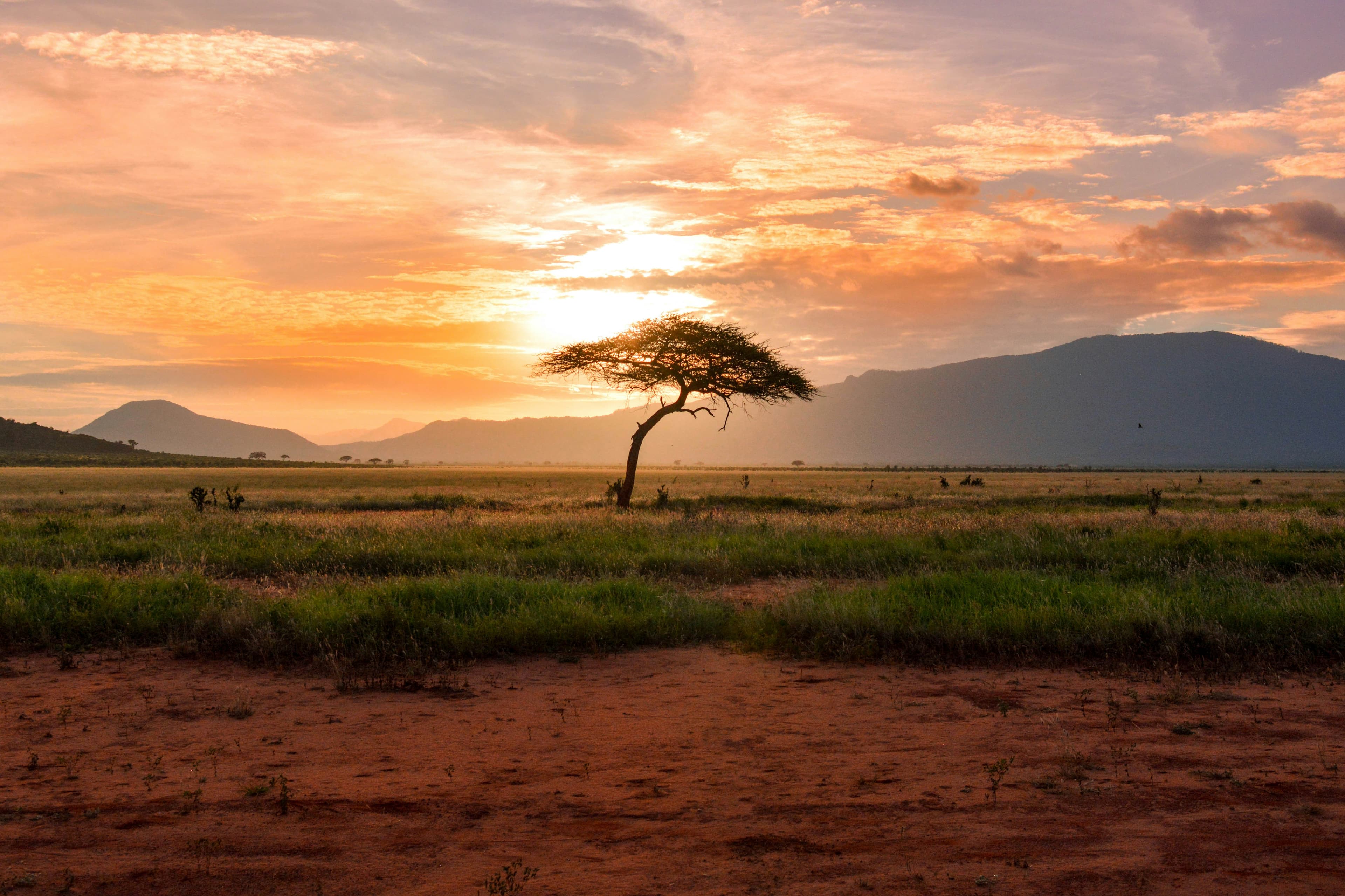 Kenia