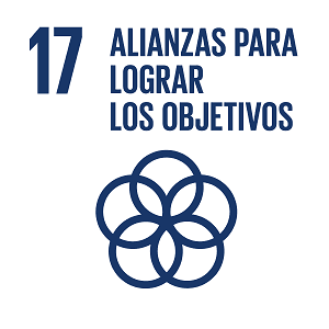 ODS 17